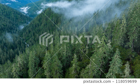 Beautiful high altitude forest mountain landscape in the fog Beautiful high altitude forest mountain landscape in the fog 118059699
