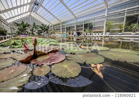 The Greenhouse at Umi Jigoku, Cultivating Yufuin Geothermal WondersMay 16 2024 The Greenhouse at Umi Jigoku, Cultivating Yufuin Geothermal WondersMay 16 2024 118060021