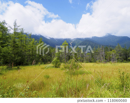 上高地暑假 上高地暑假 118060080