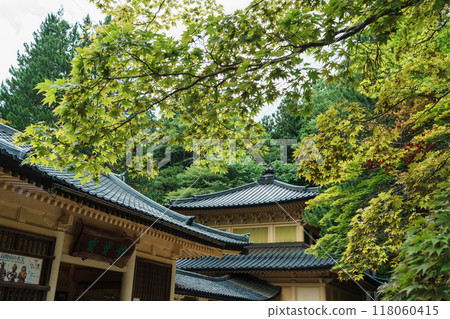 青葉高野山靈峰館 118060415