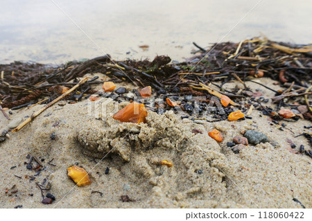 Beautiful pieces of amber among seaweed on a sandy beach Beautiful pieces of amber among seaweed on a sandy beach 118060422