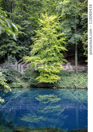 Beautiful blue, green lake  118060438