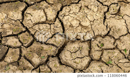 Dry cracked soil Dry cracked soil 118060446