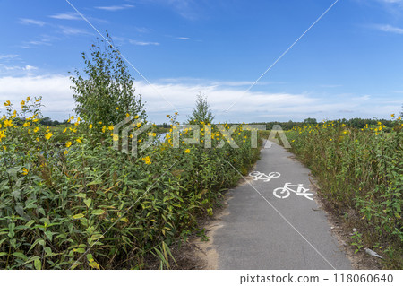 Bike path with yellow flowers. Jeglinski canal. Landscape of Masuria in Poland. Bike path with yellow flowers. Jeglinski canal. Landscape of Masuria in Poland. 118060640