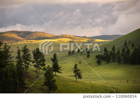 Northern Mongolia landscape 118060854
