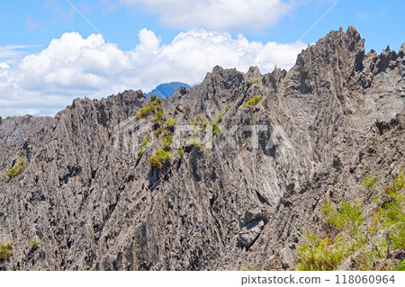 [Taiwan/Taitung County] Scenery of the Lijie Badlands (view from the Fuyuan Grand Canyon Observation Deck) 118060964