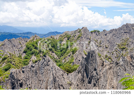 【台灣/台東縣】利吉惡地景觀（富源大峽谷觀景台眺望） 118060966