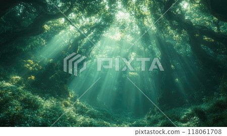 Sunbeams lighting up lush green forest floor 118061708