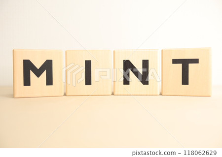 MINT character and image 118062629