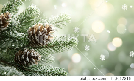 Winter scene with snow dusted pine tree branch 118062816