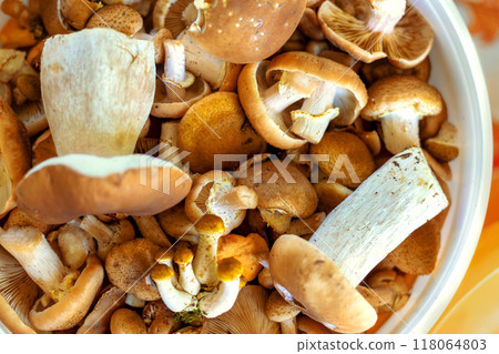 Bucket full of different edible mushrooms. Top view 118064803