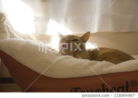 躺在床上放鬆 躺在床上放鬆 118064907