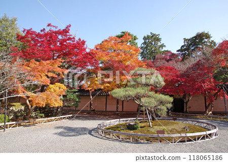 Autumn leaves of Niseo-in Autumn leaves of Niseo-in 118065186