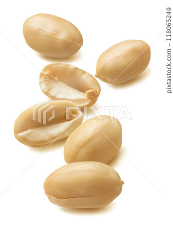 Big peeled peanut group isolated on white background. Vertical layout 118065249