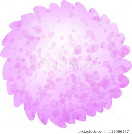 Pink Globe Amaranth 118066327