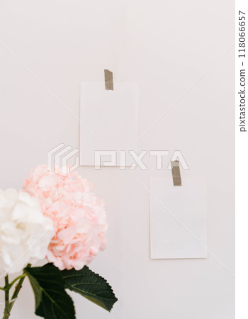 Composition of two white of postcard glued with scotch taped and hydrangea flower branches with leaves 118066657