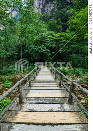 Bridge to the jungle,Khao Yai national park,Thailand Bridge to the jungle,Khao Yai national park,Thailand 118067078