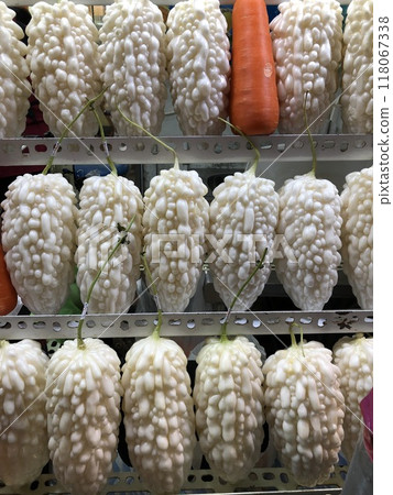 White Pearl Bitter Melon or Momordica charantia or bitter gourd photo 118067338