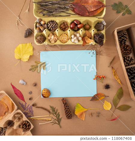 Autumn forest themed assemblage with seeds, leaves, and nature materials for kids' art project on teal and brown paper, captured in a high-angle close-up on botanical herbarium background 118067408