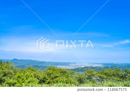 從粟嶽山茶草場眺望的風景（靜岡縣） 118067575