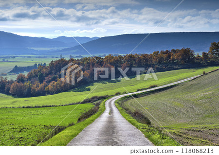 A road runs and a lush green field with trees in the background. Navarra, Spain A road runs and a lush green field with trees in the background. Navarra, Spain 118068213