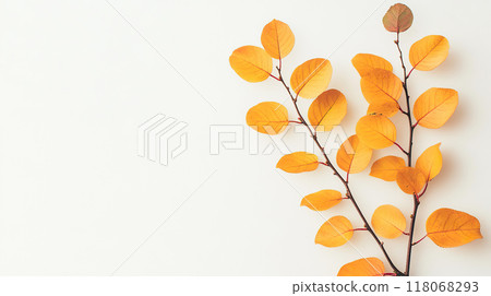Autumn leaves arranged in a minimalistic style, banner for seasonal DIY 118068293