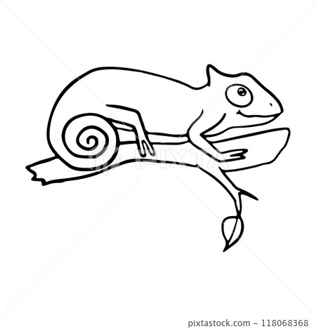 Simple illustration of a chameleon on a branch. Perfect for educational content, nature blogs, or articles on reptiles and jungle wildlife Simple illustration of a chameleon on a branch. Perfect for educational content, nature blogs, or articles on reptiles and jungle wildlife 118068368