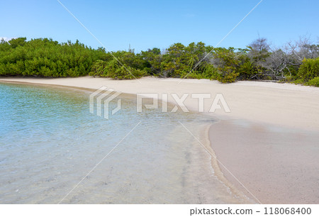 A beautiful beach on a deserted island, Galapagos Islands, Ecuador. 118068400