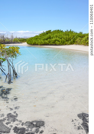 Beach on a beautiful uninhabited island, Galapagos Islands, Ecuador. Beach on a beautiful uninhabited island, Galapagos Islands, Ecuador. 118068401