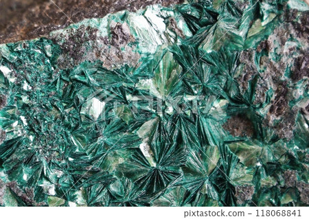 Chromite Fuchsite Mineral Chromite Fuchsite Mineral 118068841