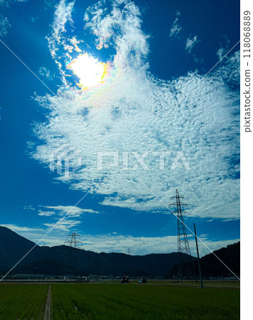 北陸,福井縣,武生,鄉村夏日的天空,稻田 北陸,福井縣,武生,鄉村夏日的天空,稻田 118068889