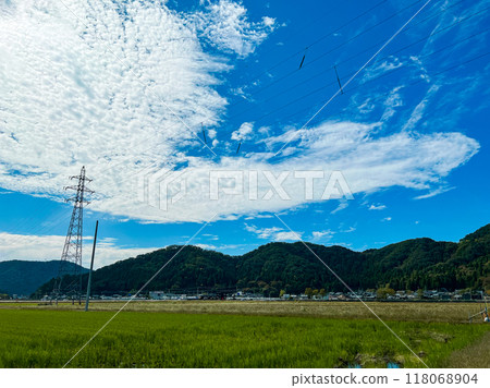 北陸，福井縣，武生，夏空，鄉村，稻田 118068904