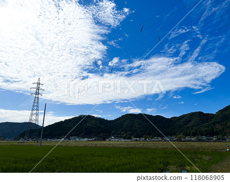 北陸,福井縣,武生,夏空,鄉村,稻田 北陸,福井縣,武生,夏空,鄉村,稻田 118068905
