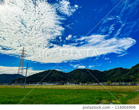 北陸,福井縣,武生,夏空,鄉村,稻田 北陸,福井縣,武生,夏空,鄉村,稻田 118068906