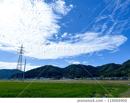北陸,福井縣,武生,夏空,鄉村,稻田 北陸,福井縣,武生,夏空,鄉村,稻田 118068908