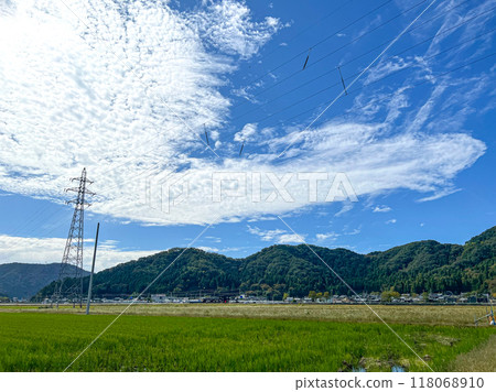 北陸,福井縣,武生,夏空,鄉村,稻田 北陸,福井縣,武生,夏空,鄉村,稻田 118068910