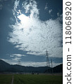 Hokuriku, Fukui Prefecture, Takefu, Rural summer vacation, Rice field 118068920