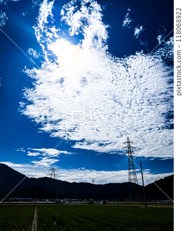 北陸,福井縣,武生,鄉村暑假,稻田 北陸,福井縣,武生,鄉村暑假,稻田 118068922