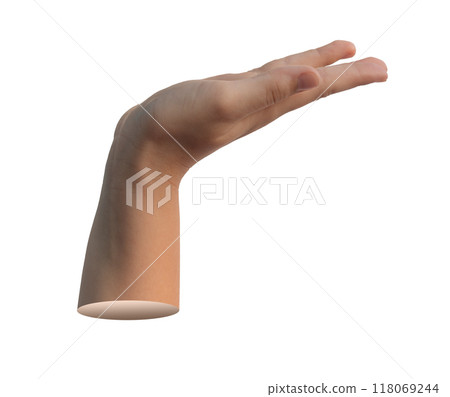 Hand gesture, showing, presenting something isolated on white background 118069244