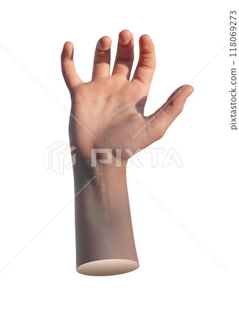 Catching, taking, hand gesture, sign isolated on white background 118069273