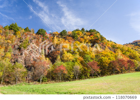 《滑雪場的秋天》平湯溫泉滑雪場周圍鮮豔的秋葉 118070669