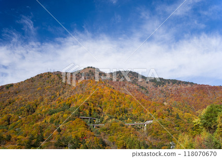 《滑雪場的秋天》平湯溫泉滑雪場周圍鮮豔的秋葉 《滑雪場的秋天》平湯溫泉滑雪場周圍鮮豔的秋葉 118070670