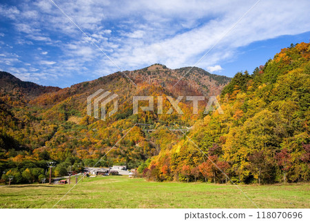 《滑雪場的秋天》平湯溫泉滑雪場周圍鮮豔的秋葉 118070696
