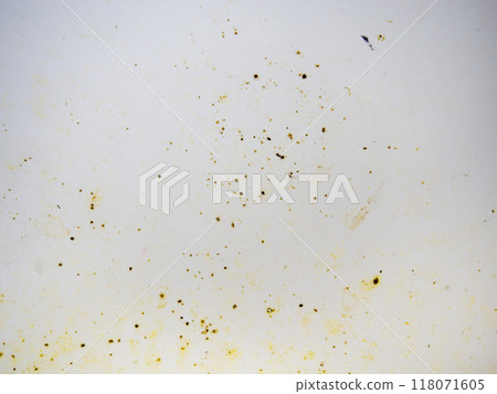 Mold on bathroom enamel. Black dots of mold and yellow plaque. Requires cleaning. Before using cleaning products. 118071605
