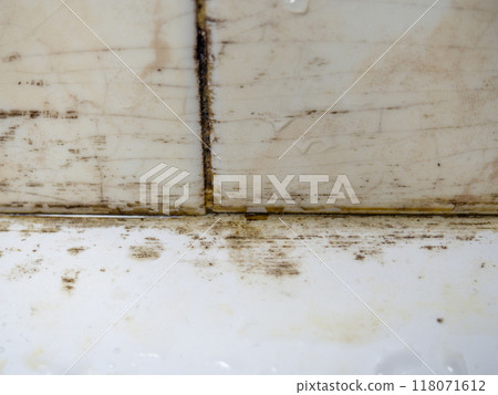 Mold in the bathroom. Black dots of mold and yellow plaque. Black mold Dirt on tiles. Requires cleaning. Mold in the bathroom. Black dots of mold and yellow plaque. Black mold Dirt on tiles. Requires cleaning. 118071612