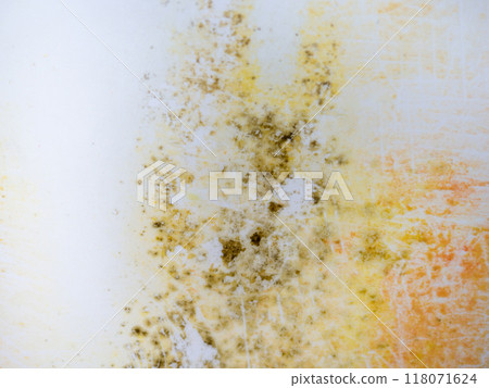 Mold on bathroom enamel. Black dots of mold and yellow plaque. Requires cleaning. Before using cleaning products. 118071624