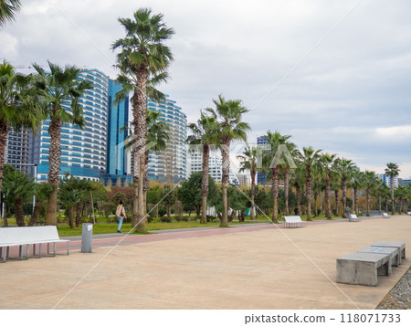 Coast of Batumi. Coast of the Black Sea with palm trees and hotels. 118071733