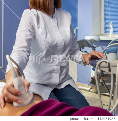 The doctor performs an ultrasound diagnosis of the abdominal cavity of a pregnant girl at an early stage of pregnancy. 118071927