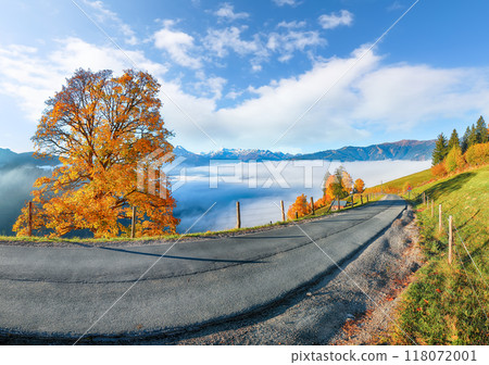Incredible view of the meadows and mountains around  Zell lake or Zeller See 118072001