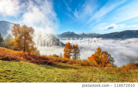 Spectacular view of the meadows and mountains around  Zell lake or Zeller See . 118072010